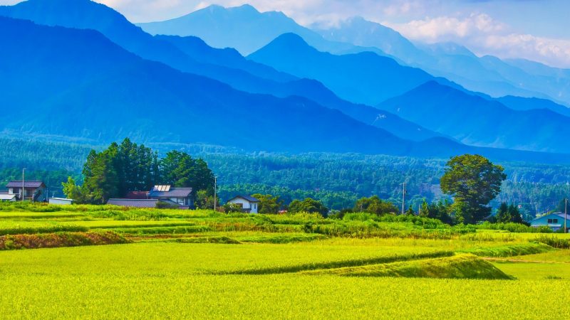 ふるさと、田舎、地方