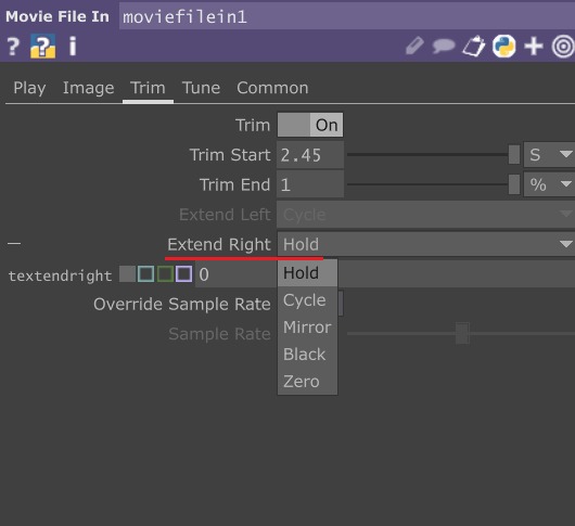 Movie File in TOPで連続再生を無効にする設定項目